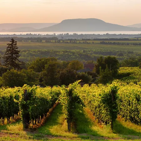 Διαμέρισμα In 45321 *