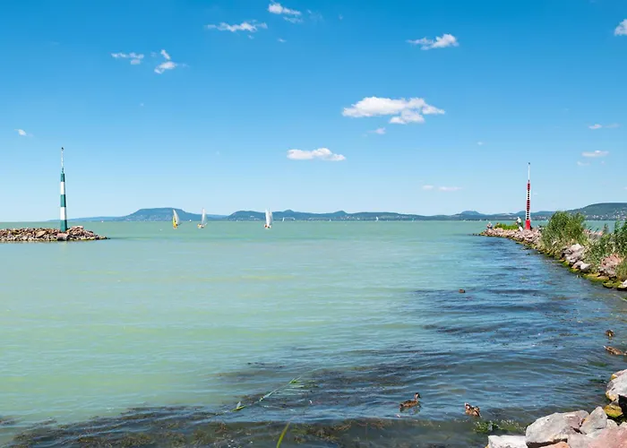 Apartamento In 45321 *