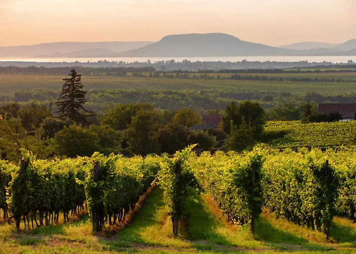 Apartamento In 45321 *